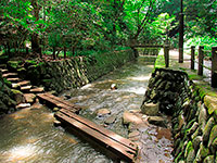 4. 世田谷区立等々力渓谷公園